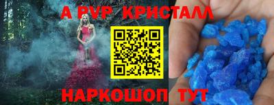 стафф Будённовск