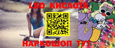 стафф Будённовск