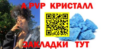 стафф Будённовск