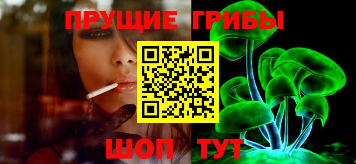 Ростов-на-Дону  Галлюциногенные грибы Psilocybine cubensis  Вход с VPN 